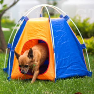 Tienda Para Mascota