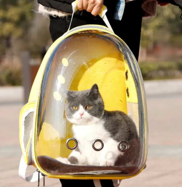Mochila para Mascota